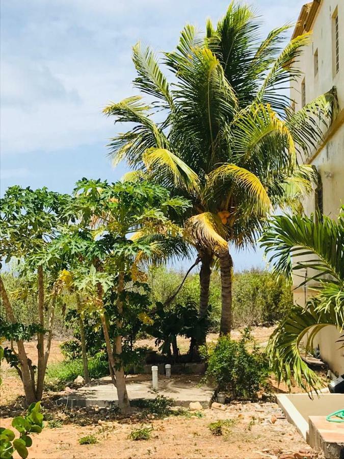 White Sands Anguilla - Sea Blowing Point Village المظهر الخارجي الصورة