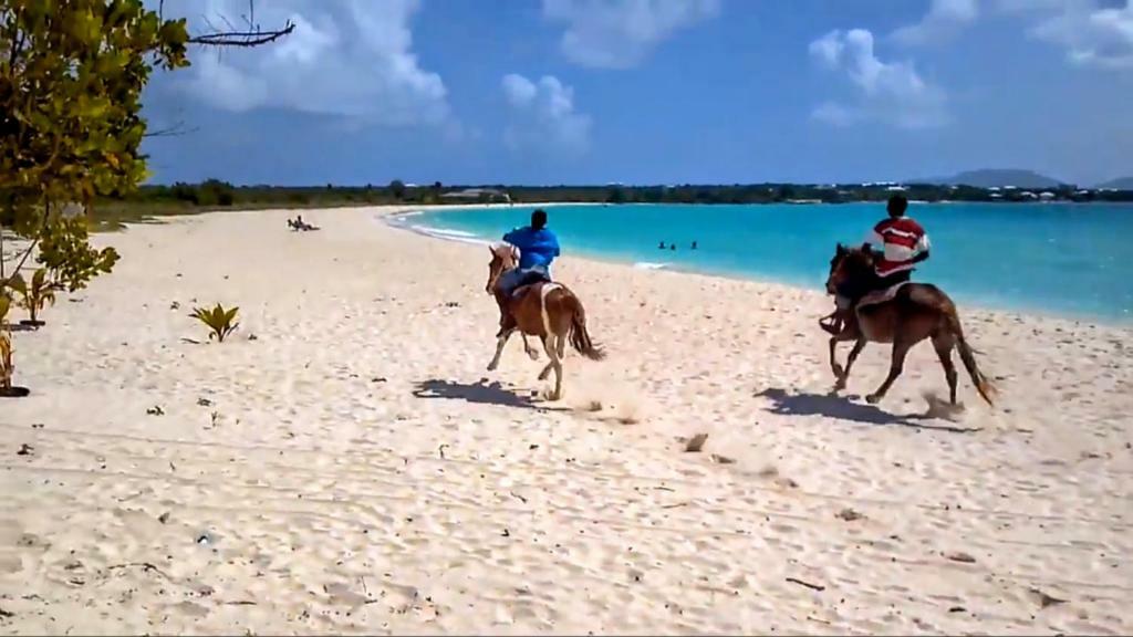 White Sands Anguilla - Sea Blowing Point Village المظهر الخارجي الصورة